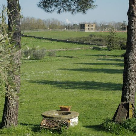 Bed and Breakfast Il Casale Di Gardenia Чезано Экстерьер фото