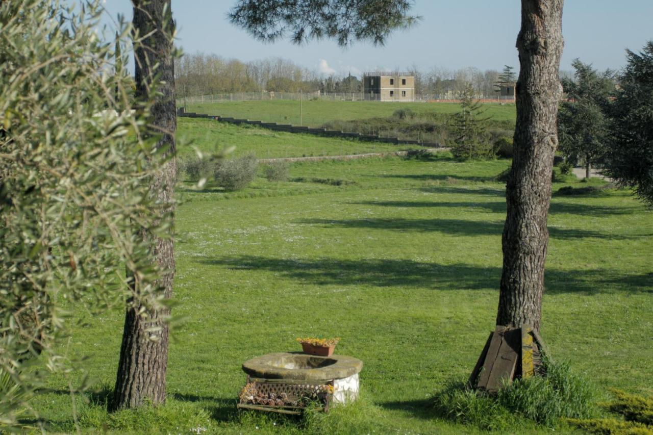 Bed and Breakfast Il Casale Di Gardenia Чезано Экстерьер фото